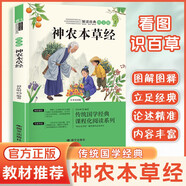 神農本草經(jīng)彩繪版正版圖書(shū) 小學(xué)生四年級上冊快樂(lè )讀書(shū)吧教材推薦必讀課外閱讀書(shū)籍 彩圖帶注解中草藥大全中醫草藥書(shū) 彩色圖鑒實(shí)用的現代家庭養生全書(shū) 指導現代人的日常食療食養中醫養生保健書(shū)籍