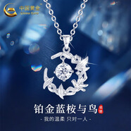 中國黃金（CHINA GOLD）藍桉與鳥(niǎo)純銀項鏈女生2025新款吊墜輕奢生日禮物中秋節禮物送女友 鉑金藍桉與鳥(niǎo)吊墜 約2.6g【贈銀鏈】