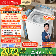 小天鵝（LittleSwan）波輪洗衣機全自動 12公斤大容量 小烏梅輕奢版【TB12VE20DW】水魔方防纏繞 家電國家補貼20%