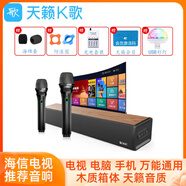 天籟K歌天籟k歌無線麥克風(fēng)KS-3 Pro適用于海信海爾TCL小米電視極米投影儀康佳長虹tcl藍(lán)牙電視回音壁音響 KS-3音響+麥克風(fēng)