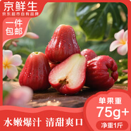 京鮮生 紅寶石蓮霧 凈重1斤裝4-6個(gè) 單果75g+生鮮水果源頭直發(fā)包郵
