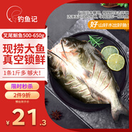 釣魚記 斑點叉尾鮰魚1斤-1.3斤 二去凈重 冷凍 烤魚紅燒烤生鮮 魚類海鮮