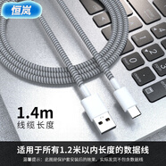 恒嵐手機充電線保護繩數(shù)據(jù)線保護套OPPO適用蘋果VIVO通用繞線器纏繞繩折 灰色【與灰色保護套更搭】 安卓款【一米線通用】1條