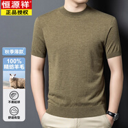 恒源祥（HYX）2025秋季短袖羊毛衫男士100純羊毛半高圓領(lǐng)薄款休閑精仿針織T恤衫 花草綠 ZYR6608 XL 175 建議130-150斤