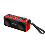 溥畔山水F59藍(lán)牙音箱評書機(jī)便攜收音插卡音響定時關(guān)機(jī)戲曲播放器越劇 F59紅色 送32G卡+充電器+保 套餐一