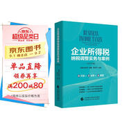 企業(yè)所得稅納稅調(diào)整實務(wù)與案例（2019年版）