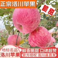 洛川蘋(píng)果陜西延安特產(chǎn)紅富士時(shí)令蘋(píng)果水果禮盒送蘋(píng)果生鮮新鮮脆甜整箱批發(fā) 凈重8.5斤 70-75mm彩箱裝 爆賣(mài)