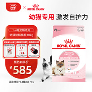 皇家幼貓奶糕 幼貓貓糧 BK34 通用糧 1-4月 10KG