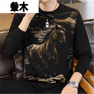 軬木宸鑠維戴妮男裝穿搭秋季男士圓領(lǐng)長(cháng)袖衛衣中青年休閑.T恤打底衫潮 黑色 M (建議95-115斤)