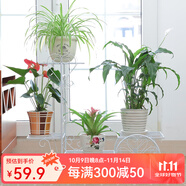 思故軒（SIGUXUAN）落地花架鐵藝花盆架多層陽臺客廳戶外綠蘿花架收納裝飾架爬藤花架 H904白色【62*26*69cm】