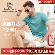 Raidy Boer/雷迪波爾【空調(diào)T】夏季男裝刺繡棉混紡短袖T恤7120 淺綠色 170/48/M