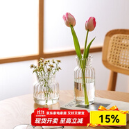 川島屋透明玻璃小花瓶擺件客廳插花干花水養(yǎng)網(wǎng)紅ins風玻璃瓶 玻璃花瓶(直款)
