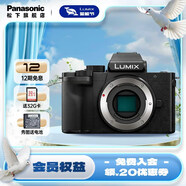 松下（Panasonic）Lumix G100D M43畫幅相機 M43卡口 微單相機 無反數(shù)碼相機 G100D單機身【不含鏡頭】