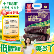 十月稻田 黑糯玉米 3.52斤(220g*8根) 東北甜黏玉米棒 早餐苞米 低脂零食