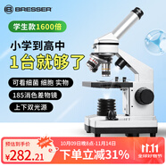 寶視德（bresser）顯微鏡生物標本玻片兒童學(xué)生教學(xué)微生物動(dòng)植物昆蟲(chóng)50片兒童節禮物
