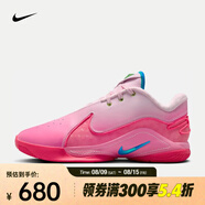 耐克（NIKE）LEBRON XXI SN EP詹姆斯男子籃球鞋 HV8456-600 42
