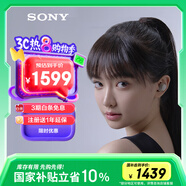 索尼（SONY）WF-1000XM5 真無線藍(lán)牙降噪耳機 新一代降噪豆 智能AI 藍(lán)牙5.3 鉑金銀 高考祝福禮物