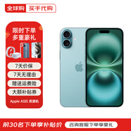 Apple【活動(dòng)款限售】蘋(píng)果16promax iPhone16pro 蘋(píng)果16 16系列 手機 iPhone 16Plus 深青色 6.7英寸 256GB【公開(kāi)版全網(wǎng)通+配件大禮包】