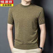 恒源祥（HYX）2025秋季短袖羊毛衫男士100純羊毛半高圓領(lǐng)薄款休閑精仿針織T恤衫 花草綠 M 170