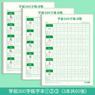 紹澤文化 學(xué)前300字幼小銜接練字帖幼兒園練字本學(xué)前班兒童初學(xué)者入門(mén)點(diǎn)陣控筆訓練描紅練字貼  3本裝 