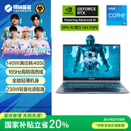 機(jī)械革命【國(guó)家補(bǔ)貼20%】極光15 15.6英寸游戲本筆記本電腦(I5-12450HX 16G 512G RTX4050 165HZ )