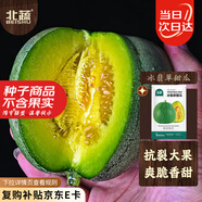 北蔬 冰翡翠甜瓜種子種苗超甜綠寶石香瓜水果籽 冰翡翠甜瓜種子約50粒