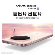 vivo X300 系列手機 新品來襲 預(yù)約抽獎贏好禮 9.9元鎖定值288元一年延保+3年電池寶權(quán)益福袋 敬請期待 外觀1 版本2 12期免息