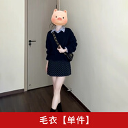 園翌感連衣裙子套裝女2025波點(diǎn)短裙秋冬季韓系穿搭一整套氣質(zhì) 毛衣【單件】 S 40/45kg