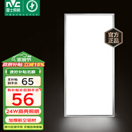 雷士（NVC）廚房燈鋁扣板燈集成吊頂300x600衛(wèi)生間國(guó)家補(bǔ)貼LED吸頂平板面板燈