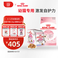 皇家幼貓 干濕搭配   K36 4.5KG+ KJP 85G*12