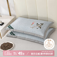 艾薇（AVIVI）蕎麥枕頭夏季100%蕎麥殼帶冰絲枕套枕芯一個裝 葉子灰 35*55cm