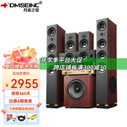 丹麥之笙（DMSEINC） JY-550家庭影院音響 5.1聲道無源落地式客廳音響 家用環(huán)繞音響 家庭ktv組合低音炮帶功放 套餐二：5.1聲道+9600功放【專業(yè)版】