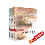 曹文軒畫本·文學(xué)經(jīng)典套裝：雪燈籠、阿龍像一個(gè)幽靈等（套裝共4冊(cè)）