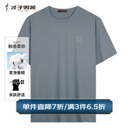 才子（TRIES）男士T恤短袖夏季冰爽棉彈多色圓領(lǐng)t純色搭LOGO印膠打底衫上衣時(shí)尚 灰藍(lán)色 L 48(170/88A)