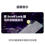 羅技（Logitech）同款電競背光游戲有線(xiàn)鍵盤(pán)鍵鼠套裝機械手感臺式 按_Scroll_Lock_鍵可開(kāi)啟鍵盤(pán)發(fā)光