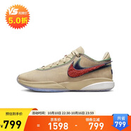 耐克（NIKE）男鞋夏款LeBron 20秋款減震耐磨籃球鞋 DV9089-200 40.5