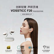 VOSSTICC輕奢品牌【柏林之聲】開(kāi)放式主動(dòng)降噪藍牙耳機掛耳式不入耳 運動(dòng)跑步騎行通話(huà)降噪手機耳機 膚色【NEW HANGING EAR STYLE】
