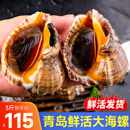漁哥戲魚海螺青島鮮活大號海螺中號海螺小海螺特大海螺肉【鮮活發(fā)貨】 特大海螺 1500g 9-12只