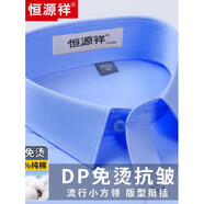 恒源祥DP成衣免燙男士長(cháng)袖淡藍色襯衫春秋季純色棉長(cháng)袖商務(wù)正裝襯衣男裝 【長(cháng)袖】6613藍色平紋純全新 39 品牌男裝