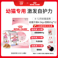 皇家幼貓 干濕搭配   K36 4.5KG+ KJP 85G*12