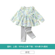哈咪奇（HAMQI）哈咪奇女童套裝春秋2025新款童裝兒童洋氣碎花兩件套寶寶小童娃娃 碎花 130