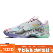耐克（NIKE）LEBRON22 勒布朗詹姆斯男透氣實(shí)戰低幫籃球鞋 FZ1098-100  41 