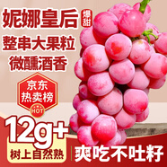 京地達(dá)葡萄妮娜皇后葡萄提子凈重4.8斤單果12g+新鮮水果源頭直發(fā)包郵