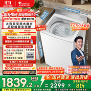 小天鵝（LittleSwan）波輪洗衣機全自動(dòng) 12公斤大容量 小烏梅輕奢版【TB12VE20DW】水魔方防纏繞 家電國家補貼20%