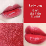 MAC LANDED口紅唇膏602小辣椒啞光316泫雅色水漾啞光滋潤顯色 510LADY BUG#番茄紅
