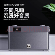 聲優(yōu)音響二代升級版廣場舞手提便攜式室內(nèi)戶外K歌樂器小型音箱 二代Q5S配雙話筒+蘋果OTG線