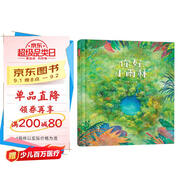 你好，小雨林 視覺(jué)發(fā)現 領(lǐng)略自然之美 體會(huì )大自然的神奇3-6歲（啟發(fā)出品）