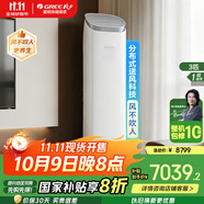格力（GREE）空調(diào)立式【政府補(bǔ)貼20%】京致/王者 全直流變頻 分布送風(fēng) 智控衡溫 國補(bǔ)以舊換新 客廳省電3匹柜機(jī) 3匹 一級能效 【京致】風(fēng)不吹人 強(qiáng)勁機(jī)芯享舒適 輕巧銀/皓雪白