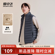 雪中飛秋冬新款男式輕薄羽絨服馬甲基礎男士短款羽絨秋馬甲 火山灰|8193 XL 180/100A