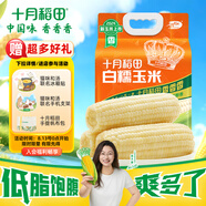 十月稻田 白糯玉米 4.16斤(260g*8根) 東北甜黏玉米棒 早餐苞米 低脂零食
